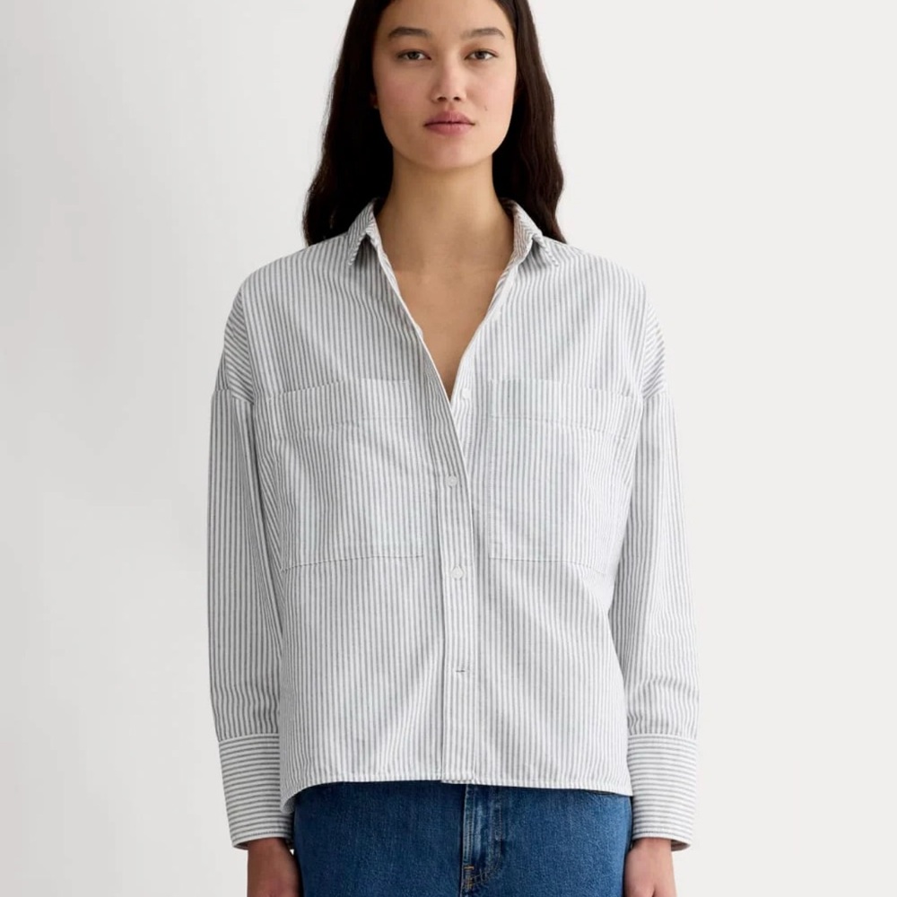 Everlane women's Blue and White Striped Shirt